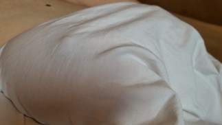 Grabbing Stepsister's Big Natural Tits in White Shirt