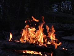 An Alternative for Those Seeking Something More