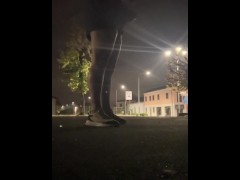 Dick flash and cum in public