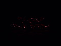 Rainbow Ballbusting!!! Finish with bat swings...or do I