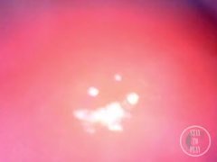 📷 INSIDE ASS POV: The Eggs disappeared in the hole ... 🍑 - Preview - Screenshot 11 of 16 - Eggs