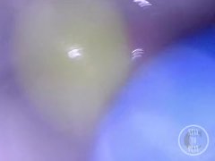 📷 INSIDE ASS POV: The Eggs disappeared in the hole ... 🍑 - Preview - Screenshot 7 of 16 - Egg Laying