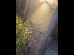 My neighbor loves sucking my dick - Screenshot 6 of 16 - Big Cock