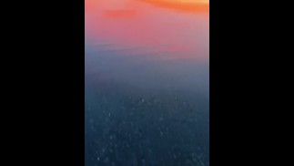 THE BEAUTIFUL SEX ON SUNRISE