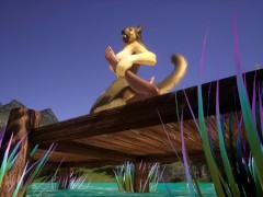 River Love  ( Wild Life )