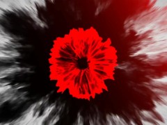 Fart Fuck Compilation (Kitsy Vixen) 1/16