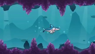 Aventure de requin