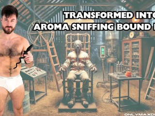 Transformed into a Aroma Sniffing Bound Pig