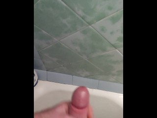 Твердый член Red