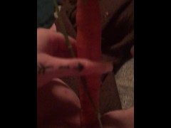 Carrot in pussy - Screenshot 16 of 16 - Perfect Pink Pussy