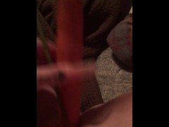Carrot in pussy - Screenshot 8 of 16 - Perfect Pink Pussy
