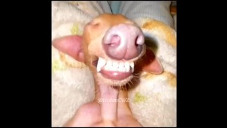 MUCHO KABUM KABUM EN ESTE JUEGO - WARZONE MOBILE