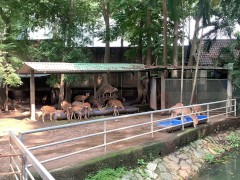 The funny guys of Saigon