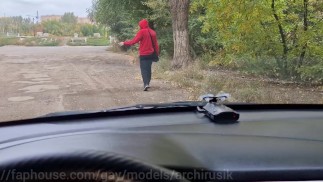 Ich habe einen Mitreisenden bei der Abstimmung auf der Autobahn in den Arsch gefickt.