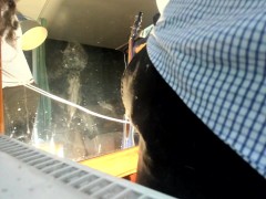 standing webcam - Screenshot 15 of 16 - Cock
