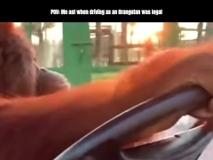 ez life