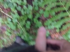 For the Pee-ple. Pee Oh Vee Pee pov