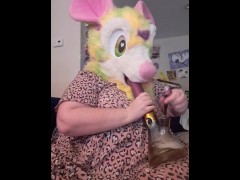 Milkweed’s Water Pipe
