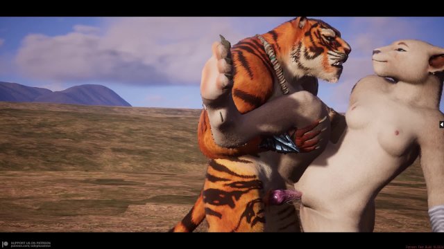 WildLife all animations