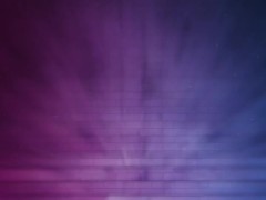 WHORES AND CONTENT 3/16