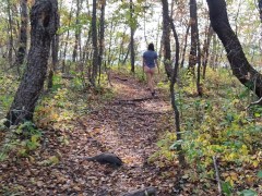 Девушка осмелилась снять трусики и пройтись с голой попой по осеннему парку