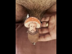 SMALL DICK . com	feedback? - Screenshot 5 of 16 - Cristo