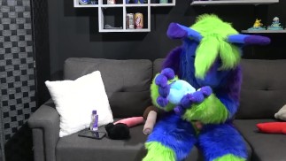 Murrsuiter a les pattes dans une gaine en combinaison