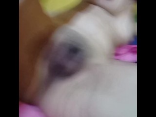 Memek Imut Pacarku