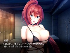 【H GAME】Role Player とろろ♡Hアニメーション⑨ バック中出し