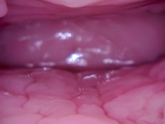 Pussy Coaster - Camera In Vagina