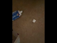 part 5 - Screenshot 14 of 16 - Toothbrush