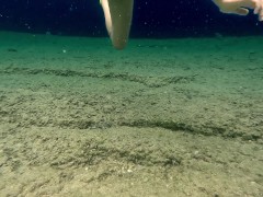 NO PANTIES underwater at Public Beach # Butt Plug ON n Panties OFF