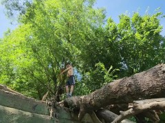 Training Topless 14/16