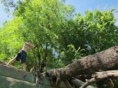 Training Topless 16/16