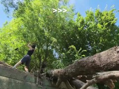 Training Topless 4/16