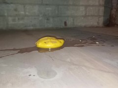 Lemon Crush in Slow Motion Under Dirty Boot 👣👣