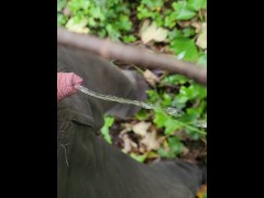 Naughty piss near the path