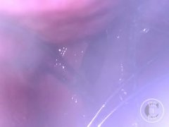 POV of the Whisk spreading my Ass from inside - Preview