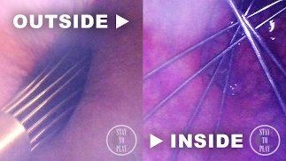 POV of the Whisk spreading my Ass from inside - Preview