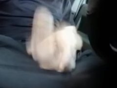 Get a nut - Screenshot 2 of 16 - Solo