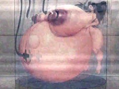 Hyper Pregnancy Experiment - Screenshot 9 of 16 - Big