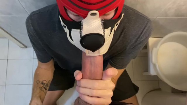good boy sucks master's big dick