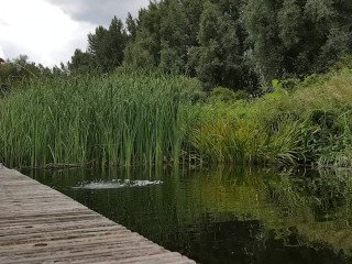 Guy Pissing from a Jetty