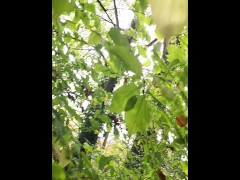 Pissing outside - Screenshot 9 of 16 - Outdoor