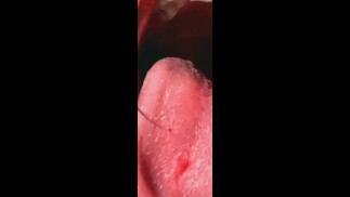 Wet Mouth and Long Tongue