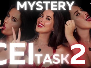Sophia Truee's Mystery CEI Task 2
