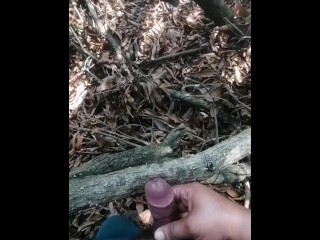 JAKOL AKO 065