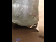 Here Cums The Sun Straight Edge Solar Love Dangling Hot Penetration Close Up Cock Twink Shorties