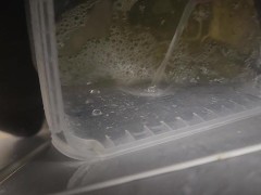 Pissing all over cheap kitchen cabinet door
