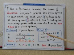 Grants Stock Option each year.[JapanMath](Titjob)